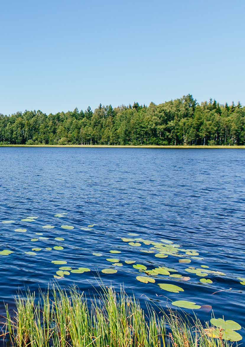 GRUNDVILLKOR Kollektiv