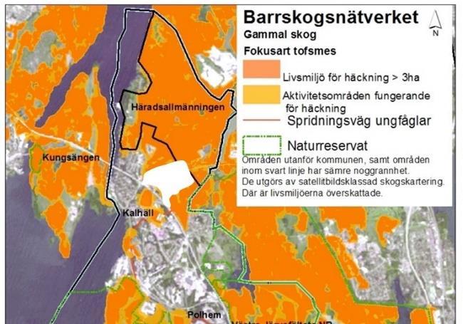 Verksamhetsområdet