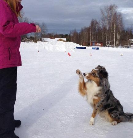 Prova på golf Tid: Måndag 25 februari kl. 10-12 Älvkarleby golfbana, Västanåvägen 5 Arrangör: Älvkarleby Golfklubb Prova på golf i vår lilla golfhall på Älvkarleby Golfklubb.