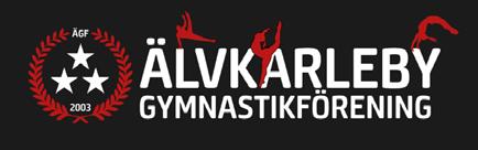 Gymnastik Tid: Onsdag 27 februari kl. 15-17 Sörgärdets Sporthall Arrangör: Älvkarleby Gymnastikförening Prova på gymnastik i olika former.