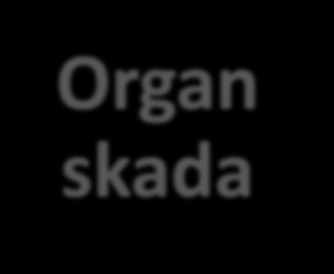 diagnos Organ skada SLICC