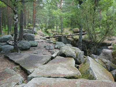 Skötselplan för