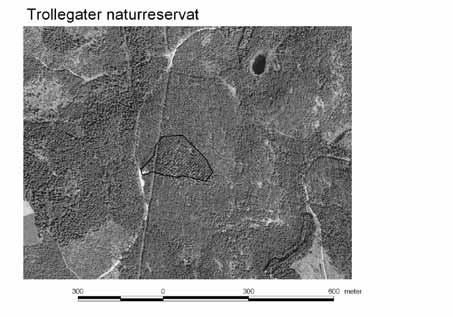 7. Kartor Ortofotot från 1997 i bakgrunden har medgivande från