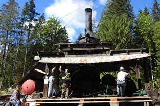 Vi börjar dagen med ett stopp i den gamla fiskebyn Telegraph Cove, som är kulturminnesmärkt, och besöker ett val- och havsmuseum. Här äter vi en gemensam laxbarbeque.