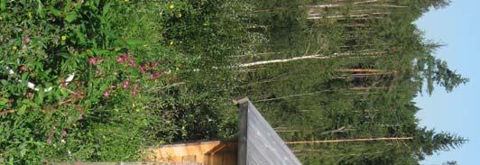 Provyta 1