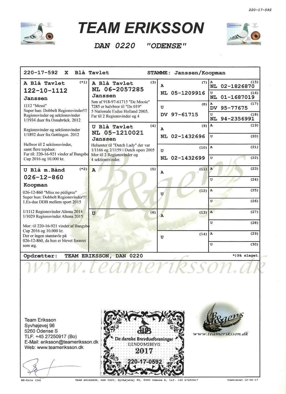 KATALOG