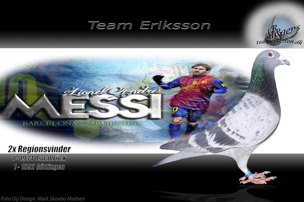 Team Eriksson Danmark Inbjudan! OBS! Ny plats OBS! Lördagen den 29/4 från kl 10:00 har Mölndals BK en stor Auktion med ungar från ett av Danmarks toppslag, Team Eriksson.