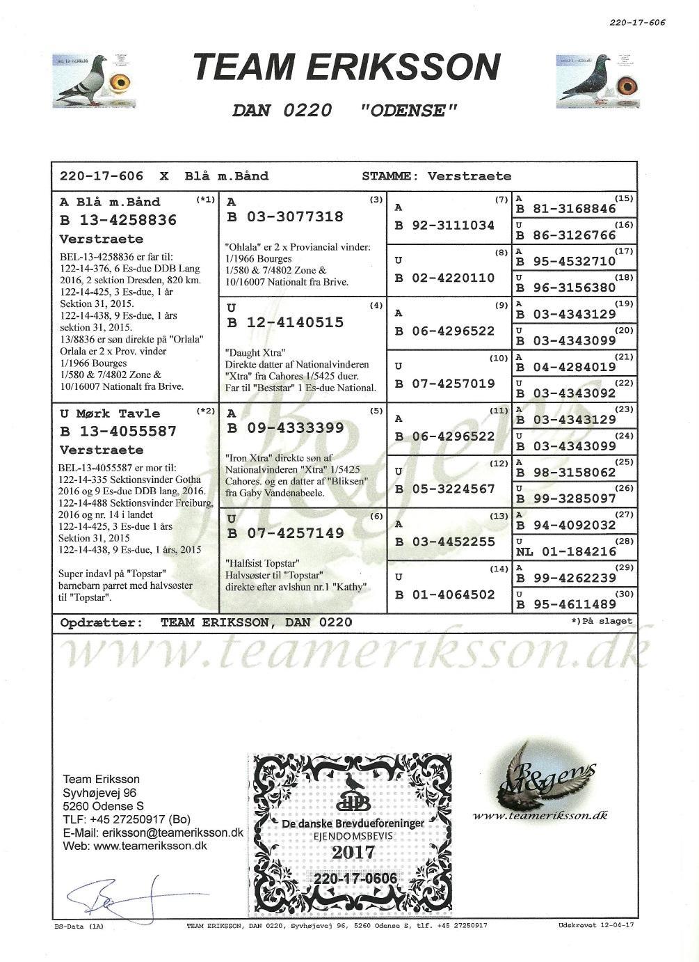 KATALOG