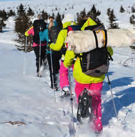 Dalarnas teman Outdoor vår, sommar och höst Aktiviteter i det fria under den snöfria delen av året. På egen hand eller i arrangerad tur i naturen. Cykla, vandra, paddla, rida, fiska och djursafari.