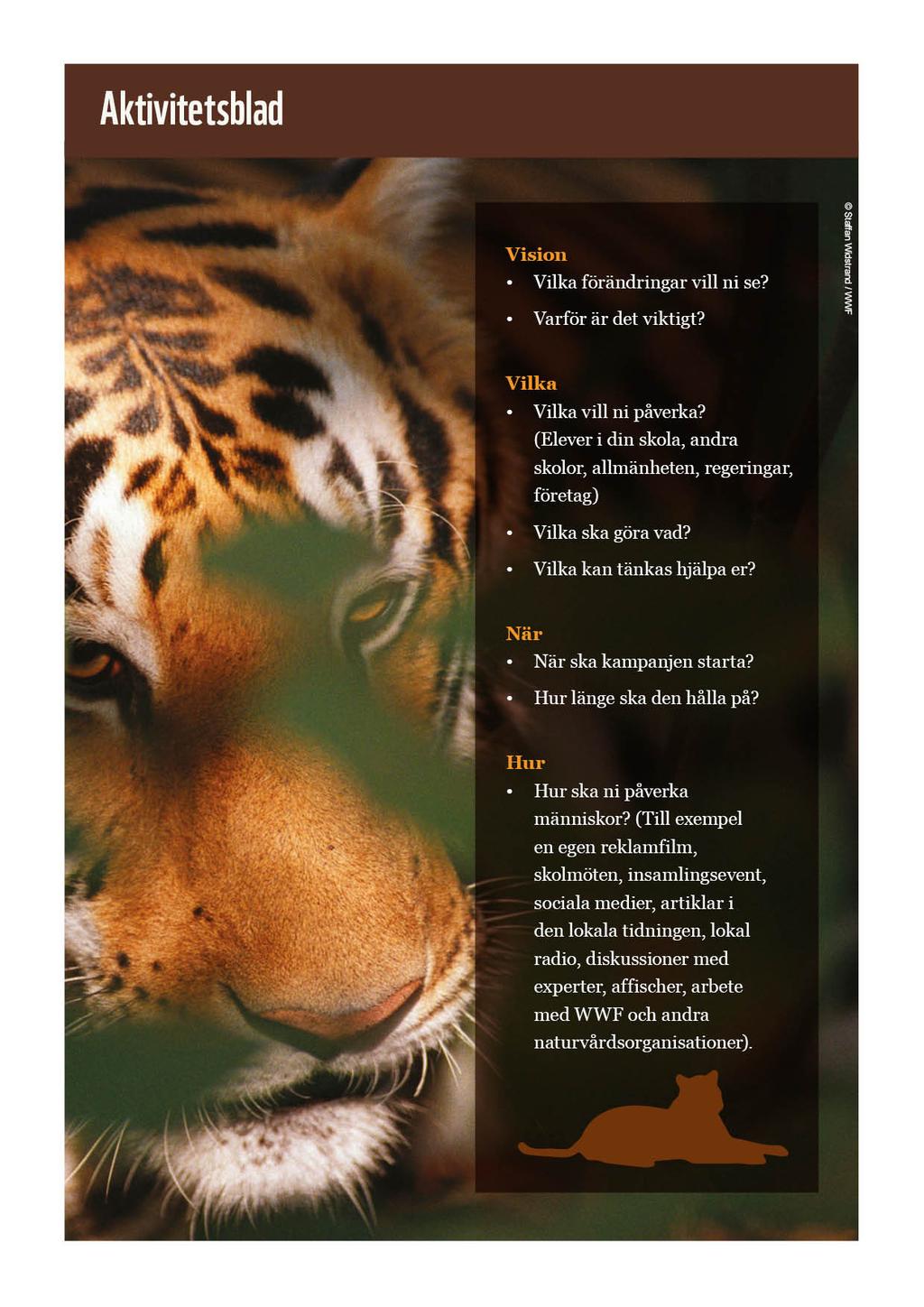 Varför är tigrar i fara, varför borde de bli räddade och vad kan vi göra för att hjälpa dem?