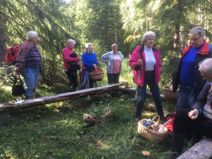 Rödgul trumpetsvamp Söndag 2 september En lockande rubrik gjorde att dagens exkursion tilltalade många och visst infriades rubriken.