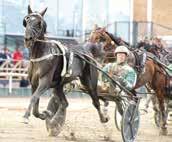 Müllers Memorial l Propulsions fjärde start på Jägersro och fjärde seger. Kung av Jägersro. Jag har såg inte så mycket av loppet, stod illa till.