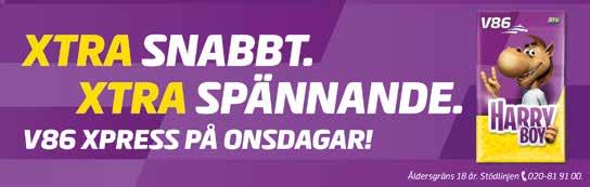 Enjoy Ginco (V-, V-) har inte vunnit på ett tag m han kommer närmare och närmare ny viktoria.