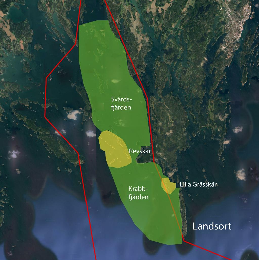 Fågelskär med skyddsvärda arter Förutom de utpekade fågelskyddsområdena finns ett antal skär som bedöms vara särskilt viktiga för fågellivet inom undersökningsområdet.