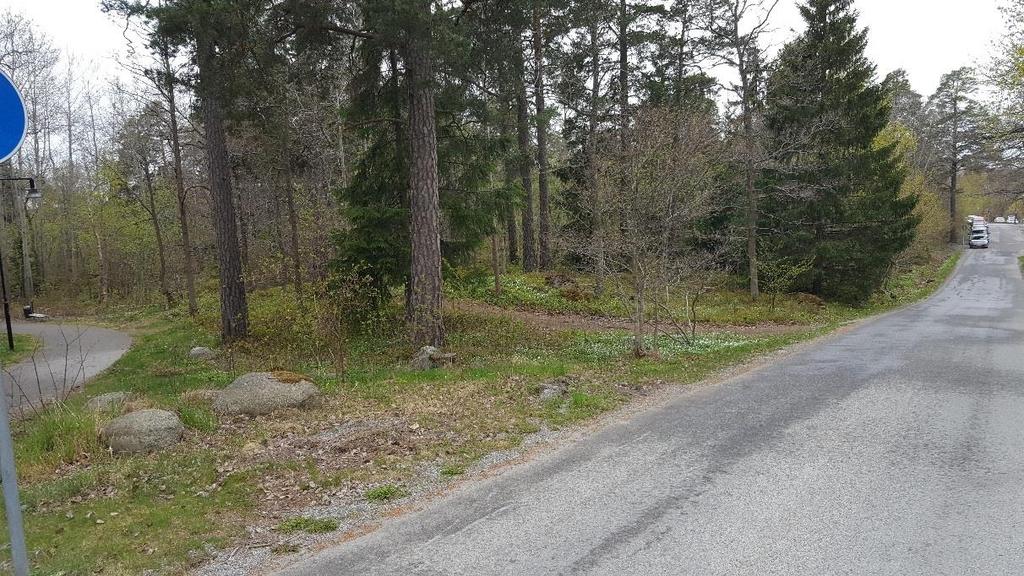 Naturvärdesobjekt 11 Klass 3, påtagligt naturvärde Naturtyp: Skog och träd Biotop: Blandskog Beskrivning: Objektet utgörs av en blandskog med några grova äldre tallar på ca 200 år.