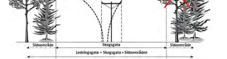 En kraftledning är generellt förlagd i en ledningsgata vars utformning och utseende regleras i särskilda säkerhetsföreskrifter, såsom ellagen (1997:857),