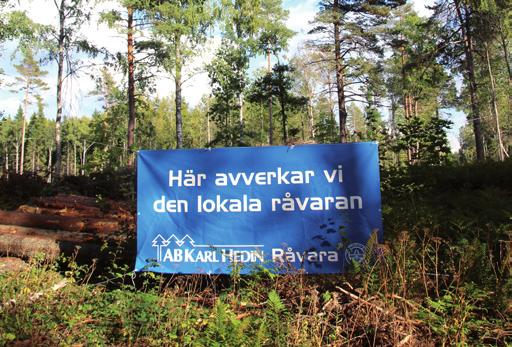 Kvalitet från planta till planka är en serie tips och tankar kring skogsskötsel.