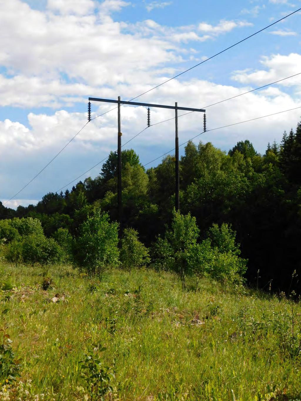Figur 2. Träportalstolpar tillhörande aktuell ledning.