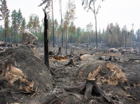 resurser % % Globala klimatförändringar % %