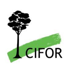 Något om min resa Jägmästare 1987 Nationella skogsprogram, Kenya, Pakistan, Filippinerna 1989-1994 Skog Dr 1995 Geographic information for forestry planning AssiDomän 1995-98 operativa