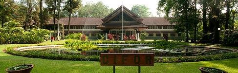 CIFOR Center for International Forestry