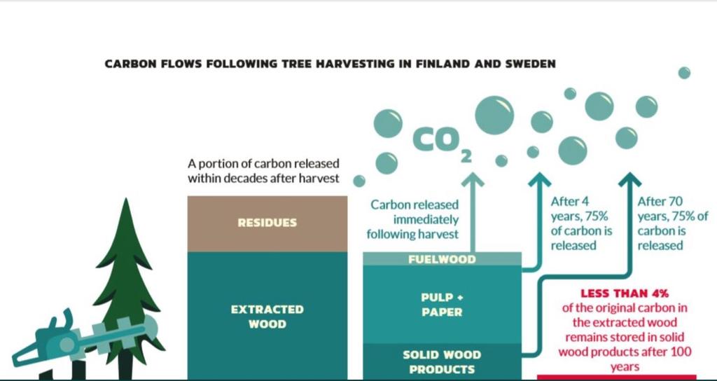 Greenpeace variant av
