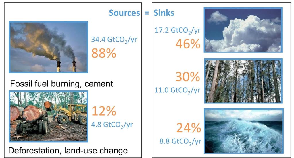Kolflöden skogen och klimatet (2007-2016)