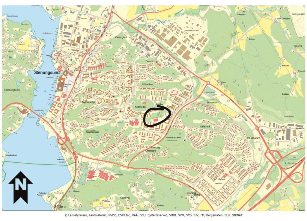 3 (11) 1. Uppdraget Uppdraget har inneburit att genomföra en naturvärdesinventering som underlag till en detaljplan för området Hasselhöjden i Stenungsunds kommun.