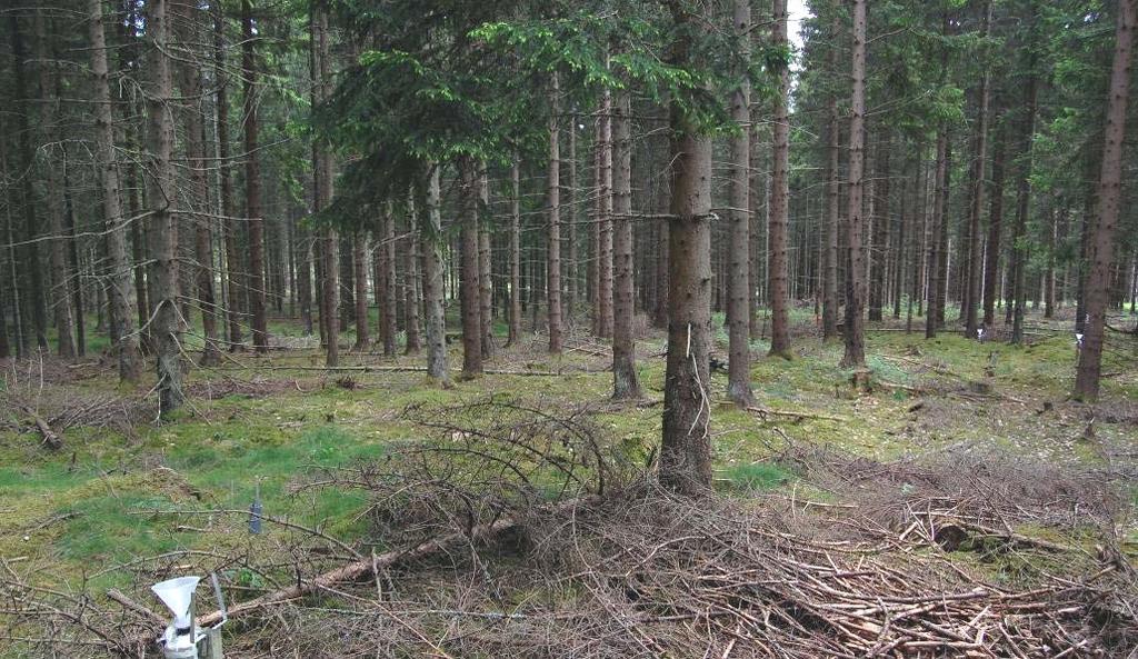 Bordsjö (F ): Yta öster om Aneby. Skogen utgörs av 57-årig, ganska tät, granskog (G8) utan fältskikt, på gammal betesmark. Beståndet är delvis skadat av vilt och röta.