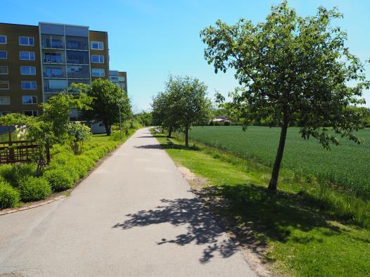 balkongen, kommer 3-4 ungdomar cyklandes, plötsligt hör jag, hallå där!... tack för senast.. Visst, trevliga möten skapar bra känsla som vidare skapar bra tillvaro där möten skär.