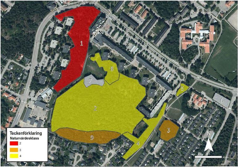 Eskilstuna kommun 2018-11-08 28 (45) Naturmiljö Förutsättningar Skogsdelen av Skogsängsparken är inte gestaltat utan är naturlik mark.