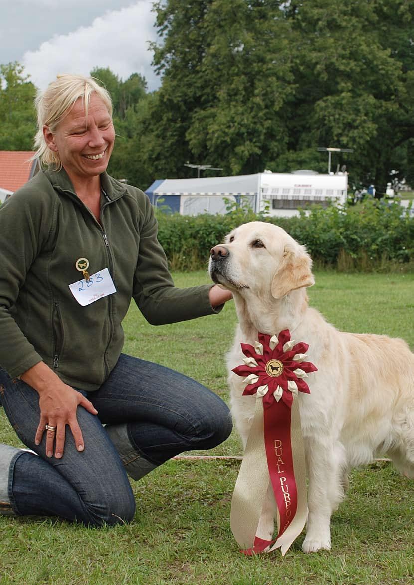 Årssammanställning 2008