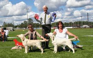 Beown Sugar VD Golden Angels Uppf. Yvonne Neuteboom, Holland Äg. Lise-Lotte Ljung, Värmlands Nysäter High Coast Safir e. SU(u)Ch Dream Max Andre Agassi u. Gleaming Don t Loose the Love Uppf. & Äg.