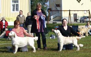 14 september, Farsta Gård Domare: Roul Höög Persson, Kennel Delawere, hanar Susanne Björkman, Kennel Roxanne, tikar Totalt 124 anmälda open show 2008 SVCh Seamountain s Joyful Jenny e.