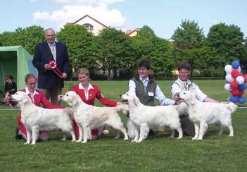 Helena Wennmark BIR VETERAN SU(u)Ch, NUCh, DKCh(u), NORDUCh, CANCh, KBHV-04 Dewmist Silverinda Uppf. Henric Fryckstrand Äg.