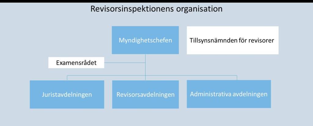 Sida 3 av 30 2 Om Revisorsinspektionen 2.1 Revisorsinspektionens uppdrag och mandat Revisorsinspektionen är regeringens expertmyndighet i frågor om revisorer och revision.