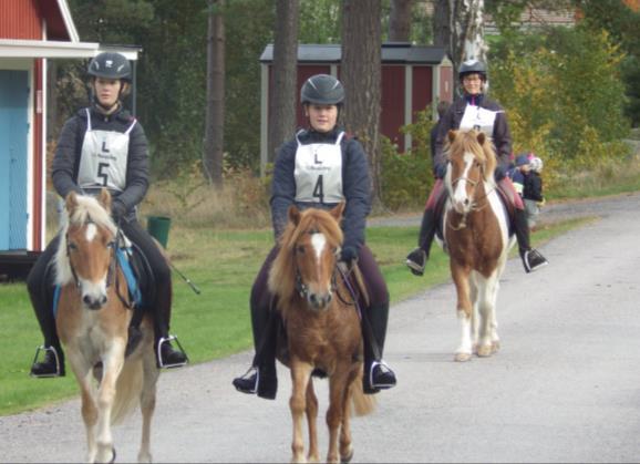 Tävlingssäsongen har gått mot sitt slut och