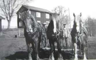 Målen 1/8 mantal Gamla boningshuset var troligen byggt på 1700- talet. Ny mangårdsbyggnad uppfördes 1955.