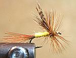 Fishingflies Special May Flies The Wulff flies - Grey, Grizzly, Royal, Werewulff #10-14 LE CdC May Fly, split wing - Olive, Tan, Black,