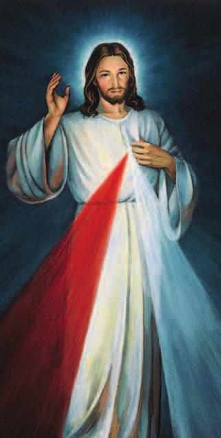 Sunday Bible Study Cursillo Divine Mercy Dominican Lay People Friday 24 hour Adoration H.S.