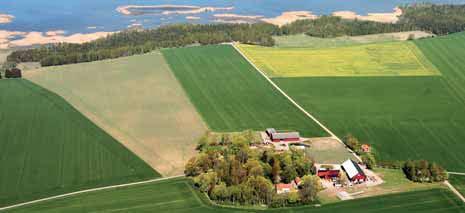 Tävlingsuppgiften Tävlingsuppgiften är att ge förslag på en sammanhållen utformning av: en byggnad för naturums verksamhet, som skall placeras inom tävlingsområdet ett nytt fågeltorn i det