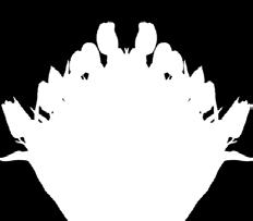 Vi vill från styrelsens sida säga ett stort och varmt tack för alla både synliga och osynliga insatser som gjorts i Lötenkyr- Lötenkyrkan Bild från Pixabay.