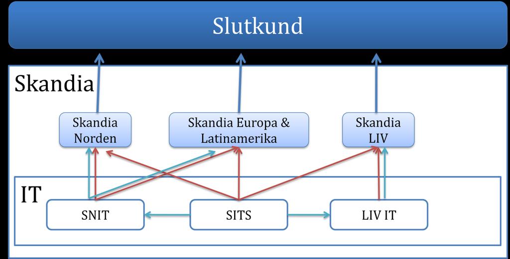 Utveckling och förvaltning av IT-systemen sköts för SITS största kund, Skandia Norden, av Skandia Norden IT (SNIT), och för Skandia LIV av Skandia LIV IT 2.