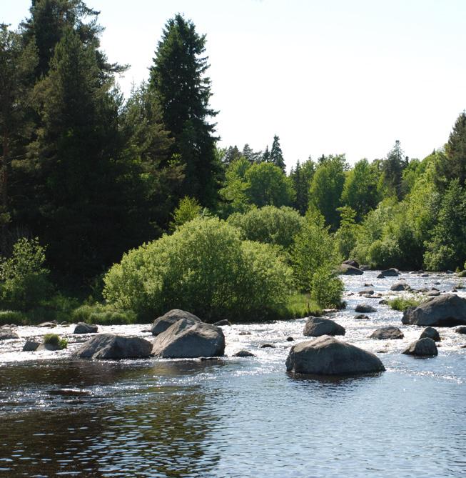 SAMARBETSPROJEKT Fortum Markets AB Upplandsstiftelsen