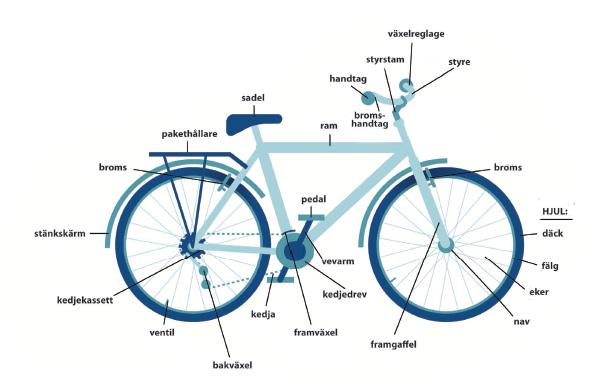 SIDAN 5 MEMORERA Hur många cykeldelar kan eleverna memorera? Låt eleverna titta på bilden i ett par minuter. Ta bort bilden. Be sedan eleverna att skriva så många ord som de kan komma ihåg.