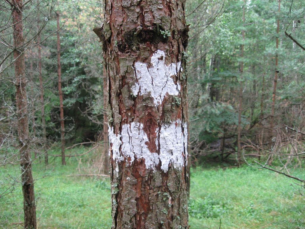 Planerad tillsyn Tillsyn på naturreservaten och biotopskyddsområde 30 Inkommande ärenden Granskning av detaljplaner 334 Handläggning av dispenser/tillstånd 150 Delta i planprojekt 120 Inkommande