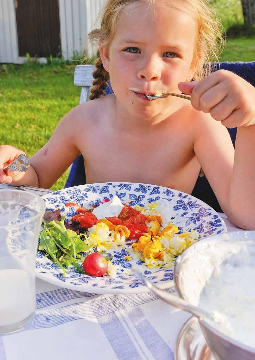 Tyskland Tysklands marknad motsvarar ungefär en tredjedel av den Europeiska marknaden.