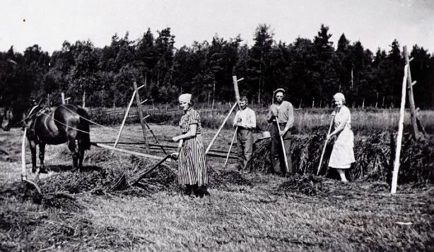 Hösläpa efter häst i Solberga. Fr.v.