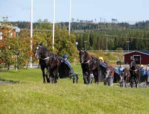 VÄSKINGE LYCKA 0:7,9 M,9 K Total: 0 0--.900 9,gbr.s.e Tangen Scott - 9: 0 0-0-0 8: 0-0-,9.900 Bi