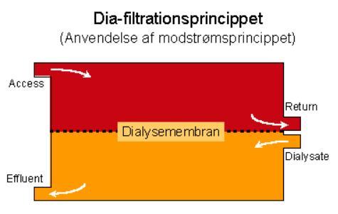 Med diffusion avlägsnas ffa små molekyler som urea och kreatinin samt att jämvikt uppnås med dialysatets innehåll (Na +, K + Ca ++ m.m.).